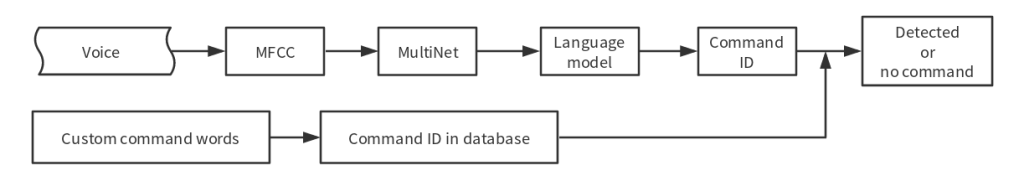 multinet_workflow